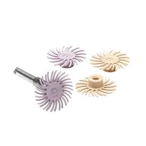 Nunc congue dui nec...